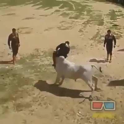 This guy has an interesting method for taming bulls