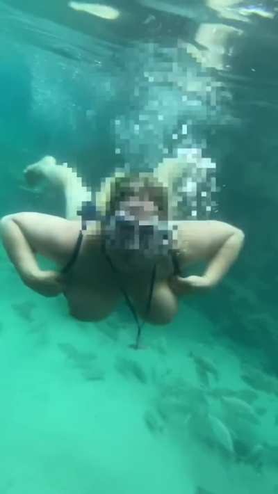 How many fish do you count? 🐟💕