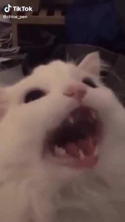 Eu tentando explicar pros meus pai o pq de eu querer pintar o cabelo e pintar de azul