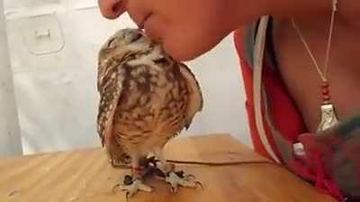 Little owl likes to kiss