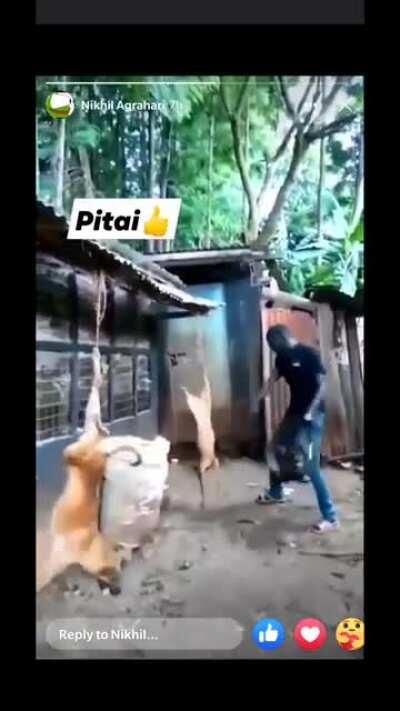 I fucking hope these guys rot in the deepest part of hell