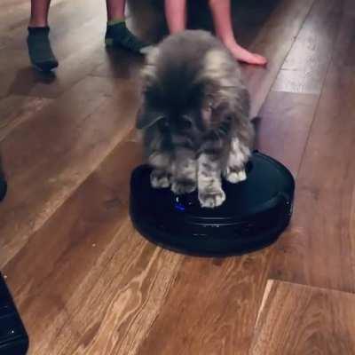 Vacuum Bot Supervisor