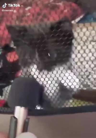 Somebody said that I should post this here (Memes on Tiktok)