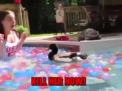 Release the Quacken!