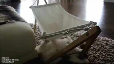 Cat just about gets in...