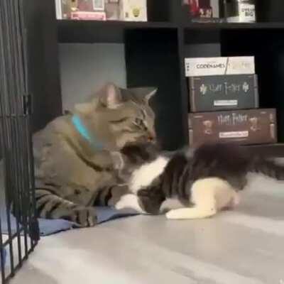 I can do this all day