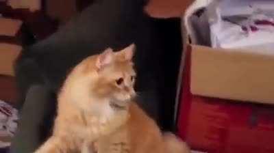 What on earth is that!