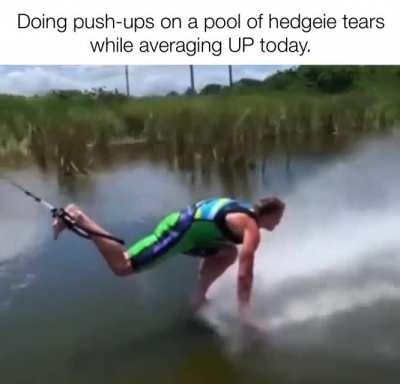 An ape’s activity today