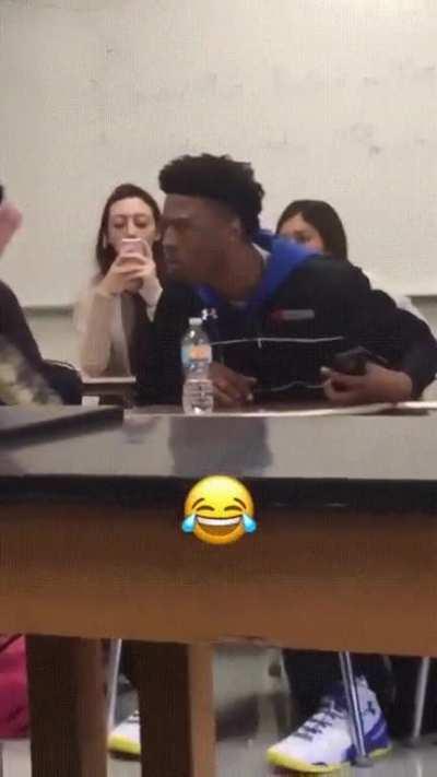 Reacting to different animals