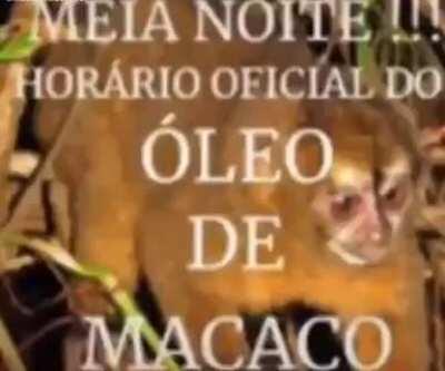OLEO DE MACACO