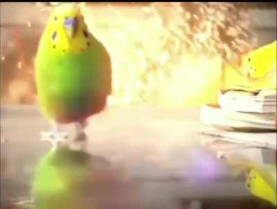 POV: Running away from the Spotter Class’s Cluster Strike/Grenades in BR