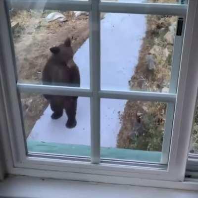 Hey, any of you humans home? I'm just hanging out here.