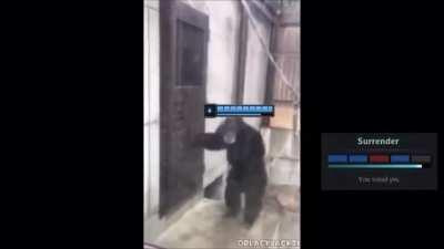 My ranked experience