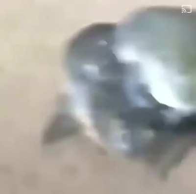 Playing Cho'Gall be like