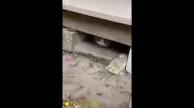 Half-life 3 confirmed by forgamers at tumblr