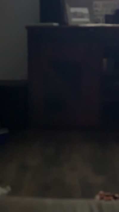 Song that has a high pitch techno noise in the background it’s either alt pop or alt indie