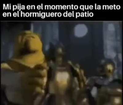 En lo posible traten de subir contenido propio