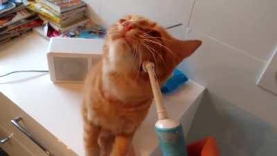 Spotted a few scrunges in there! (Not OC and definitely not my toothbrush)