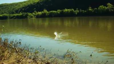 Throwing half a kilogram of metallic sodium into a river