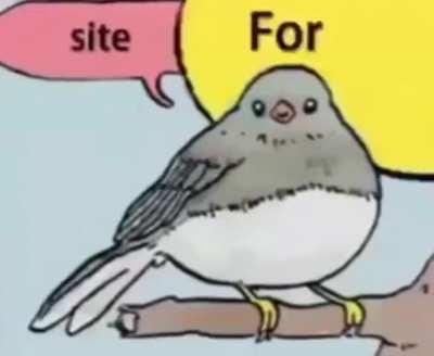 Do you have that one freind like this in the gc