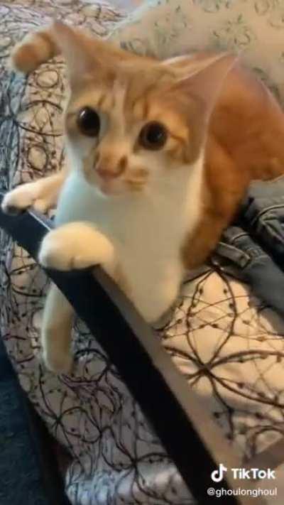 Don't worry my sister picked him up after the video ended