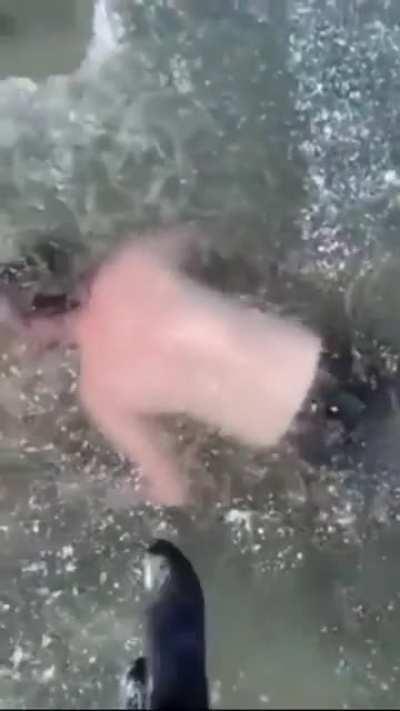 Diving in frozen lake