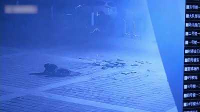 Boy Throws Firecracker Into Drain, Blows Up On Him (Fractured Pelvis)