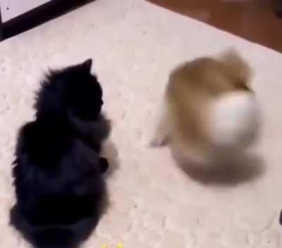 Spinning wheel of death.