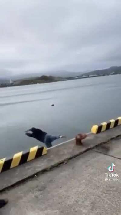 Cuz you had a bad day