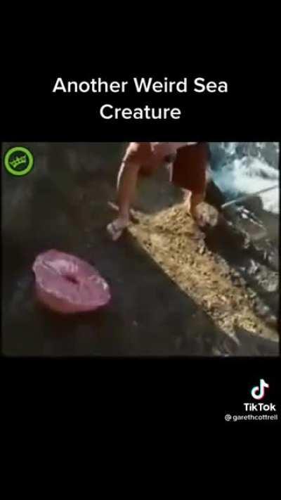 A man is only so strong