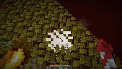 Smooth and Sleek Elyta Landing