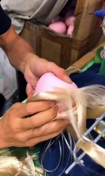 Putting hair on a doll