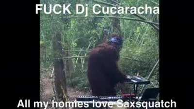 Fvck Dj cucaracha