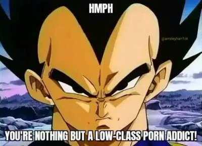 You're nothing but a porn addict 