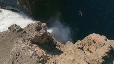 Prehistoric Planet is perhaps the first documentary to show the practicality of having feathers besides flight and insulation.