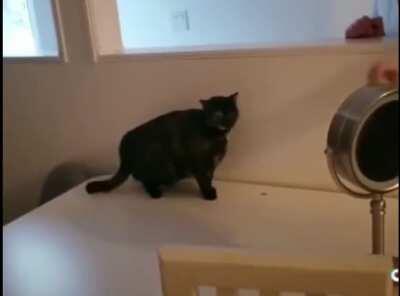 You're being way too hard on yourself here, mate...