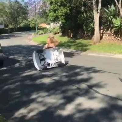 Crashed into a car but didn't spill her drink