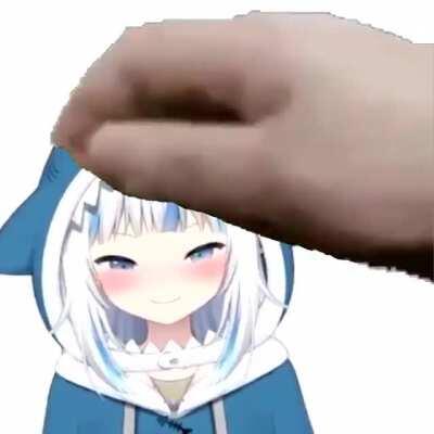 Please do not the shark