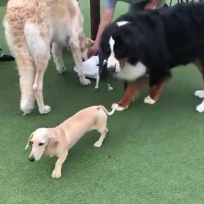 Bullying? Not on my watch!