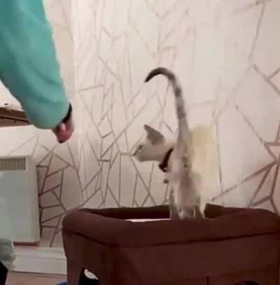 Moka got mad skillz 🤩