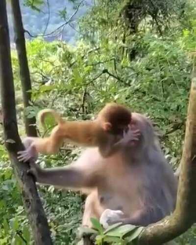 Showing affection for mother