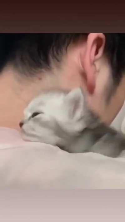 hadi arkadaşlar uyanın