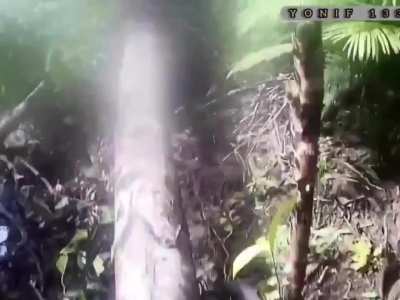 Indonesian soldier storming Papuan separatist HQ in 2024