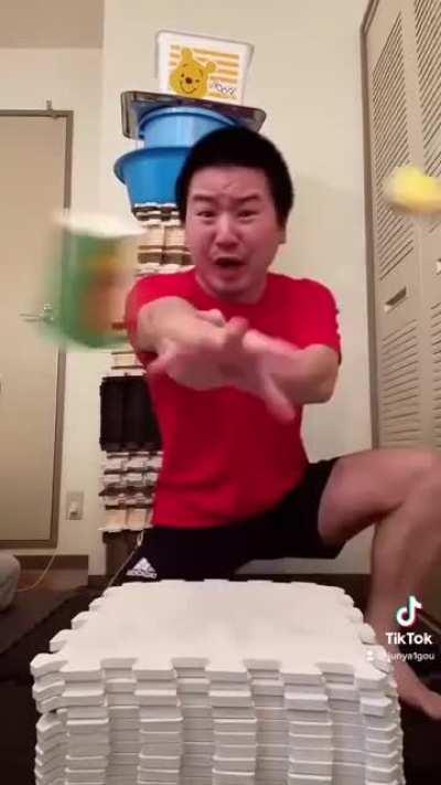 The Effect of Tiktok in the world