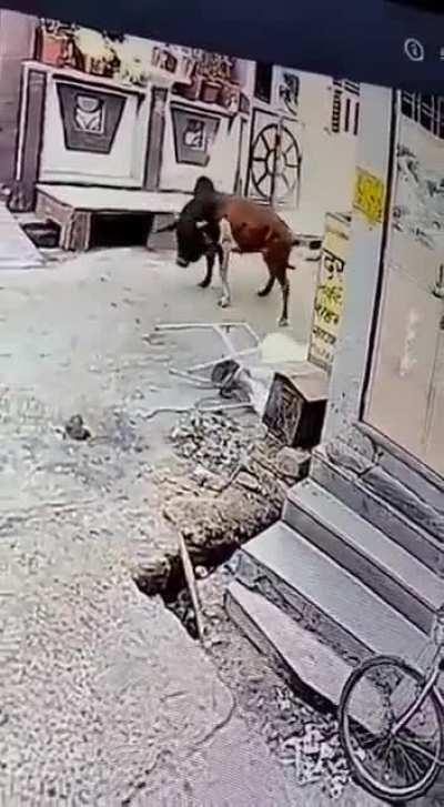 Show this to whoever said ‘not panicking is the best self defence’