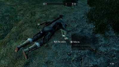 Oh Skyrim, you never fail to amuse me