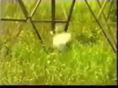 How a bomb disposal is done in Brazil