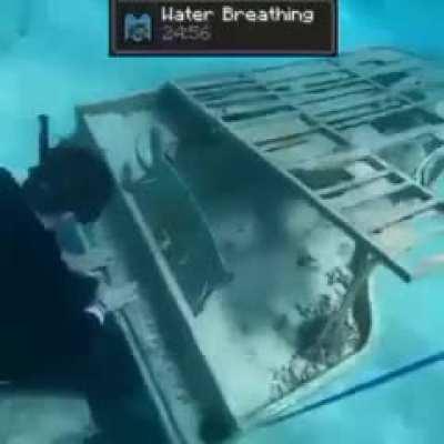 Minecraft Everybody Minecraft