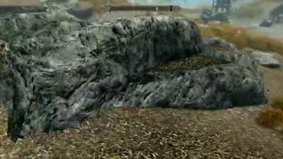 Look at the majestic deer