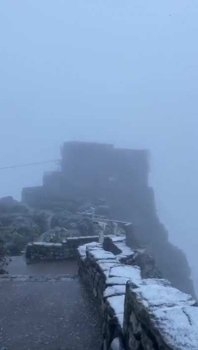 Meanwhile in Cape Town